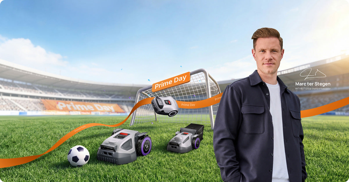 Kada pirkti vejos robotą: kaip palyginti pasiūlymus