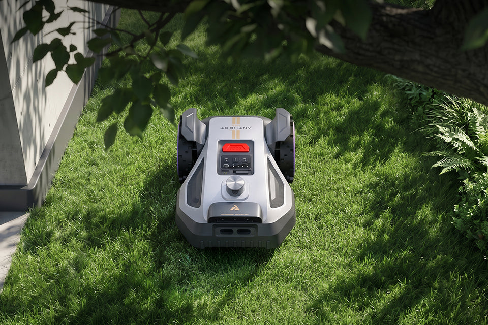 Nebrangus vejos robotas: kaip vertinti tikrąją naudą