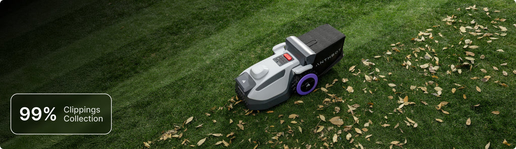 Anthbot N8 – vejos robotas su lapų ir žolės surinkimu didelėms vejoms
